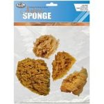 Yellow Sponge Set