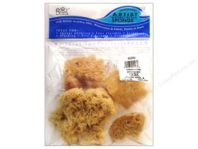 Combination Sponge Set