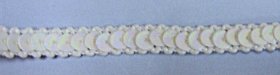 3/8" Iridescent Sequin Trim